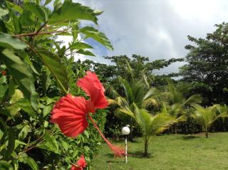Sunhill Villa - 7