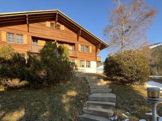 Apartment Hivernants Le Premier by Interhome - Gstaad - 9