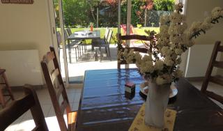 Agapanthe blanche - 5