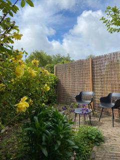 Bed & Breakfast Zeeland - Renesse - 4