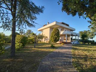 A CASA DI FINA tra mare e collina - 0