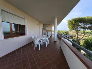 A CASA DI FINA tra mare e collina - 8