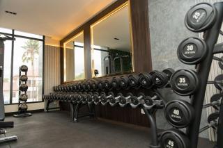 The Terrace Haven at Harmonia Residence Balcony Studio - 5
