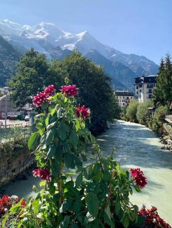 Spacious family nest with balcony in Chamonix - 3