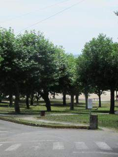 Ático Yuly - 8