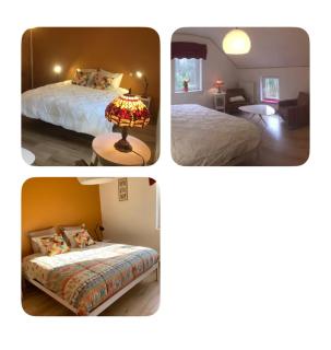 chambre dans les bois - 9