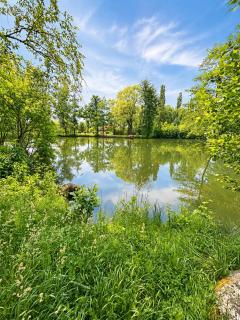 Thermen Apartment Bad Rodach 100m zur ThermeNatur - 4