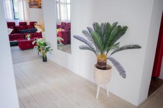 Casa Andalucia - 7