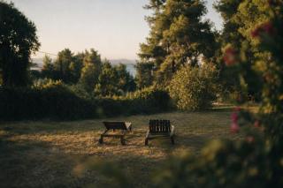Forest Paradise - 4