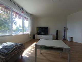 Whole unit 4 BR Home Near Downtown Airport Full privacy - 3