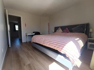 Whole unit 4 BR Home Near Downtown Airport Full privacy - 2
