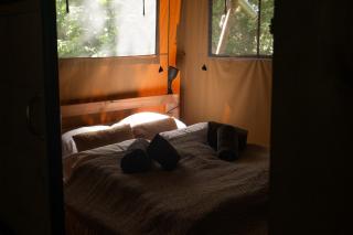 Ecolodges De Dreef - 8