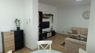 Apartman Pavlov 023 - 7