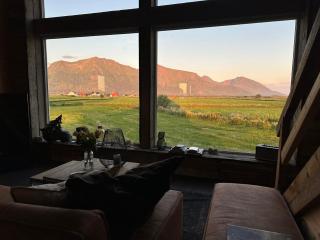 Unique Barnhouse in Amazing Gimsøy in Lofoten - 6