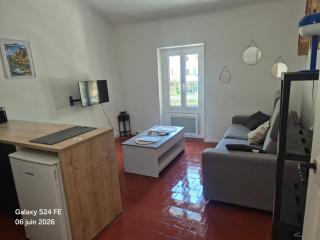 STUDIo VUE EXCEPTIONNELLE CENTRE parking gratuit - 5