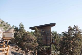 Treetop #3 at East Zion Resort - 9