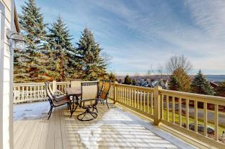 Bear's Eye View - 8