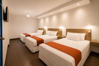 Casa Andina Standard Ica - 3
