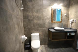 Casa Andina Standard Ica - 2
