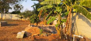 Surya farms - 1