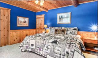 Lakefront home with private dock two decks kayaks & AC - 7