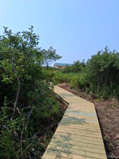 Sandy's Beachfront Cabins - 4