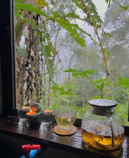 The Happy Bungalow In The Happy Forest! - 6