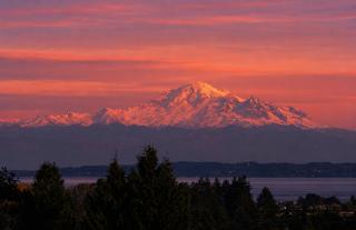 Sunny 3-Bedroom Ground Floor Suite, Tsawwassen - 7