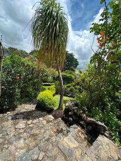 Quinta Huicochea - 6