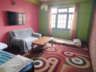 Puru Boutique Home "PBH", Private Room, Apartment, Thamel, Swoyambhu, Benchen Monastery, Kathmandu, Nepal - 6