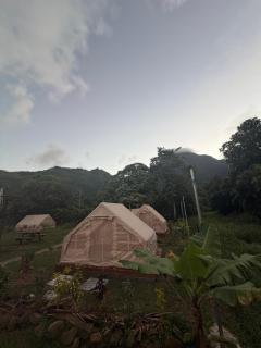 Moorea Camping Valley - 4