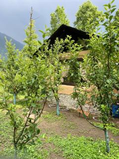 Sarayu Farmstays - 9
