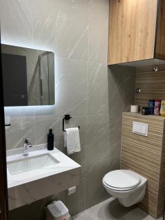Ema, Asja, Eda Apartments - Zenica - 7