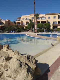 Limnaria Crystal Blue - 5