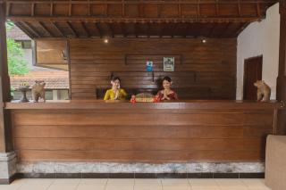 Alpin Resort and Villa Ubud - 4