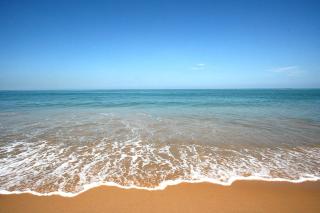 Dolphin Beach Resort - Dolphins, Kitesurfing & Wildlife - 6