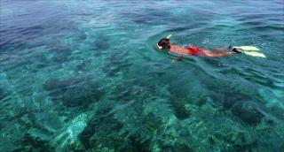 Dolphin Beach Resort - Dolphins, Kitesurfing & Wildlife - 6