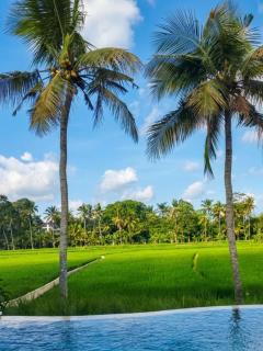 Quiet Pool Villa Ricefield Minutes from Ubud - 9