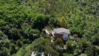 Appartamento villa Eucalipto, giardino sul mare - 4