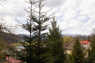 Karpaty Panorama Resort & Spa - 6