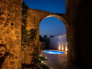 Villa Bilja Historic Stone Castle - Trebinje - 5