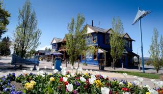 The Blue Pub - Methven - 7