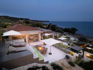 Turtle Home - 5