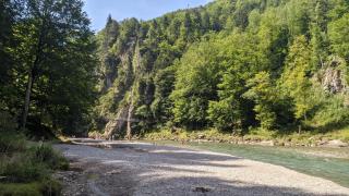 Naturrefugium mit Sauna und Bergbach - 6