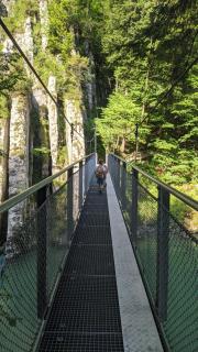 Naturrefugium mit Sauna und Bergbach - 5
