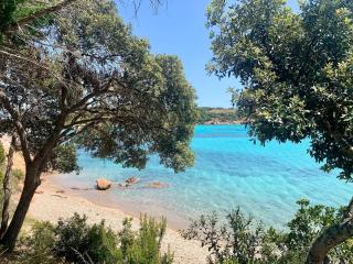 Flat 2 bedroom with 2 bathrooms garden Porto-Vecchio city center - 9