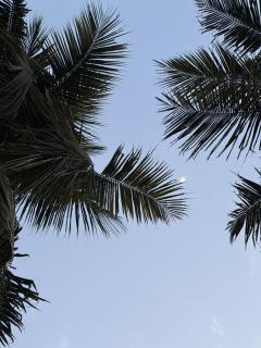 The Serene Home - 9