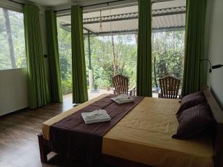 Rainforest Freedom - 7