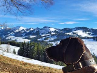 Daheim Nr 1 - Südwesterhaus Allgäu - 3