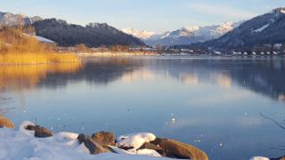 Daheim Nr 1 - Südwesterhaus Allgäu - 1